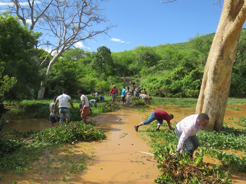 Project 4: Reversing land degradation for sustainable economic development in the South Ethiopian Rift Valley.